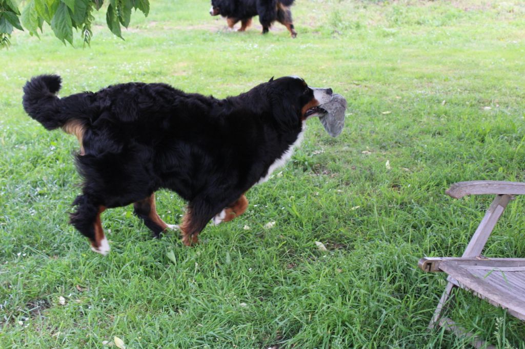 Jelly-jolie-j adore Du Col De Grimsel - Excellent