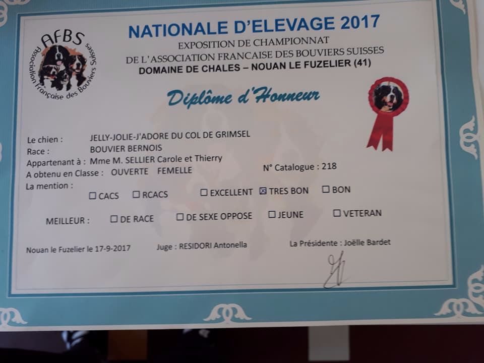 Jelly-jolie-j adore Du Col De Grimsel - tres bon