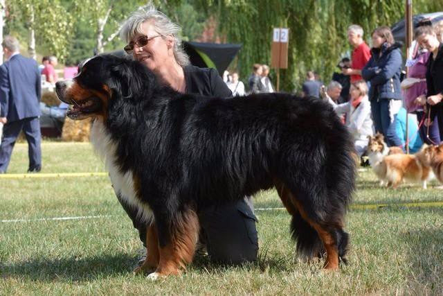 Jerlin- doo- merlin du Domaine du Lanthenay - 3 eme excellent