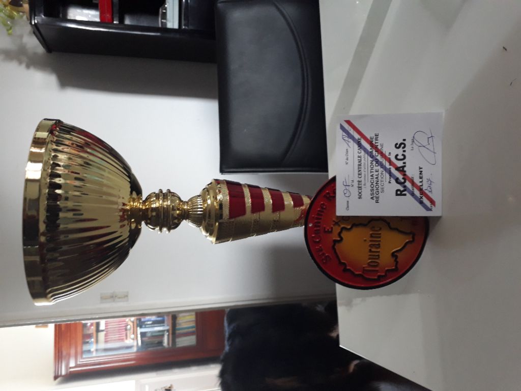 Jerlin- doo- merlin du Domaine du Lanthenay - réserve CACS