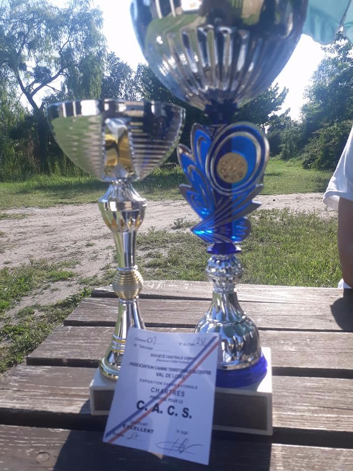 Jerlin- doo- merlin du Domaine du Lanthenay - c a c s