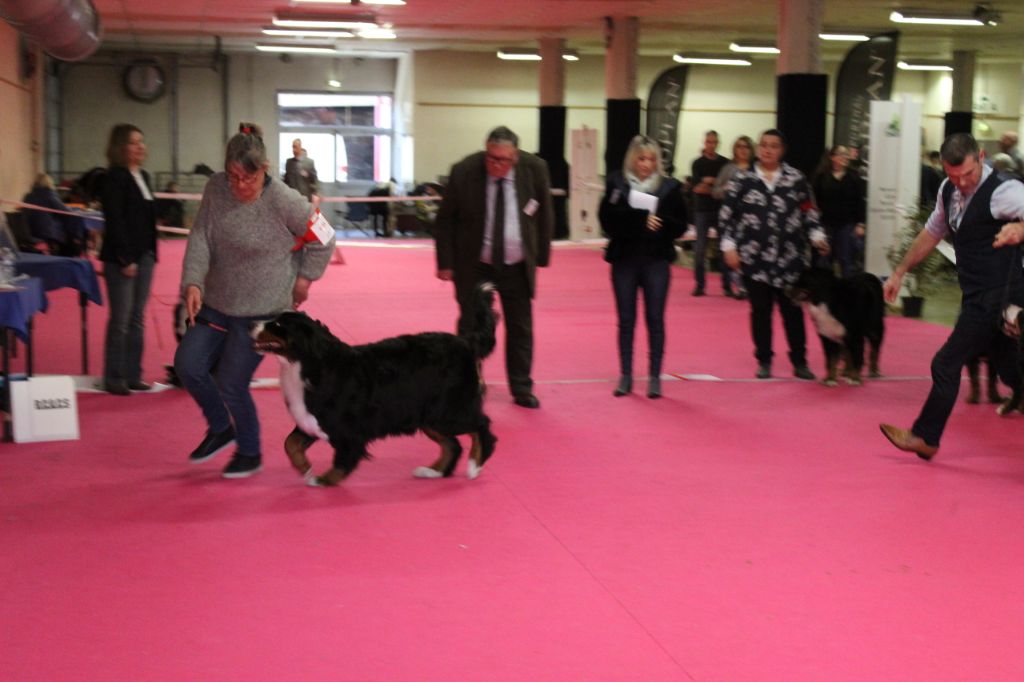 Jelly-jolie-j adore Du Col De Grimsel - 2 excellent