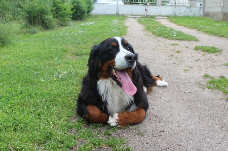 Jelly-jolie-j adore Du Col De Grimsel - tres bon