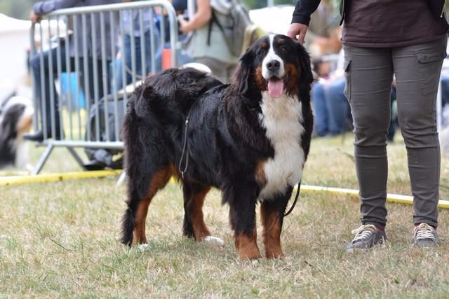 Jelly-jolie-j adore Du Col De Grimsel - c a c s