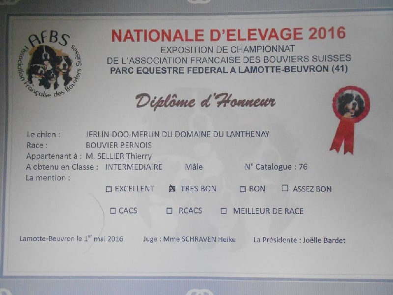 Jerlin- doo- merlin du Domaine du Lanthenay - tres bon