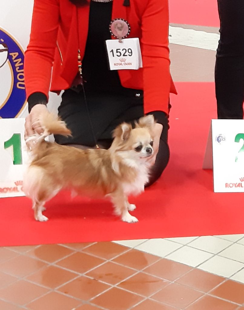 Publication : Des Petites Brindilles Auteur : Des petites brindilles