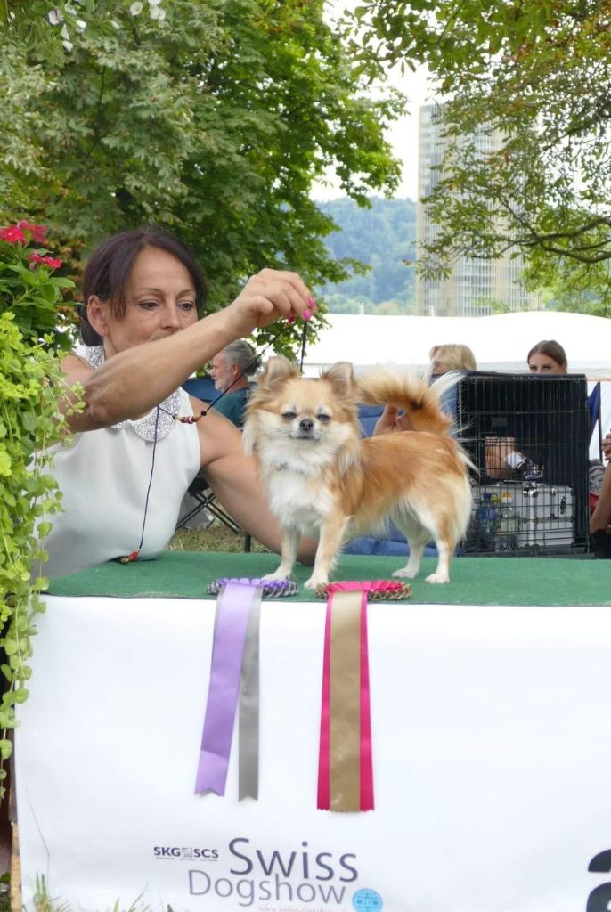 Publication : Des Petites Brindilles Auteur : Des petites brindilles