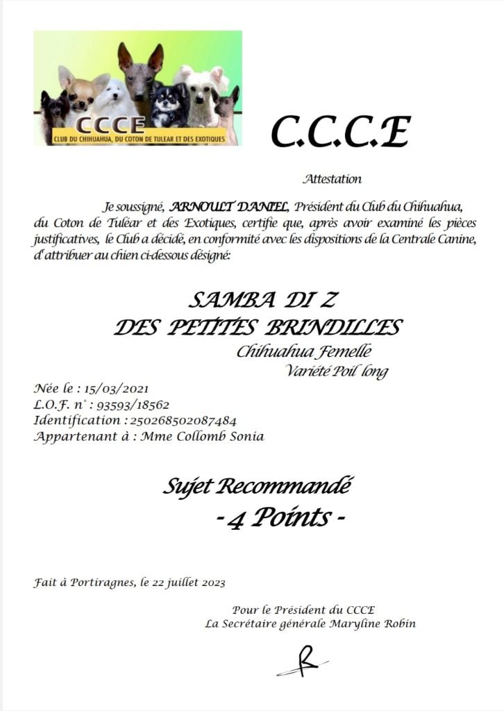 Publication : Des Petites Brindilles Auteur : Des petites brindilles