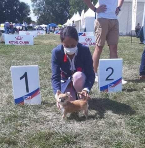 Publication : Des Petites Brindilles Auteur : Des petites brindilles