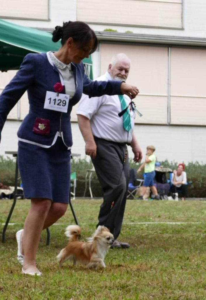 Publication : Des Petites Brindilles Auteur : Des petites brindilles