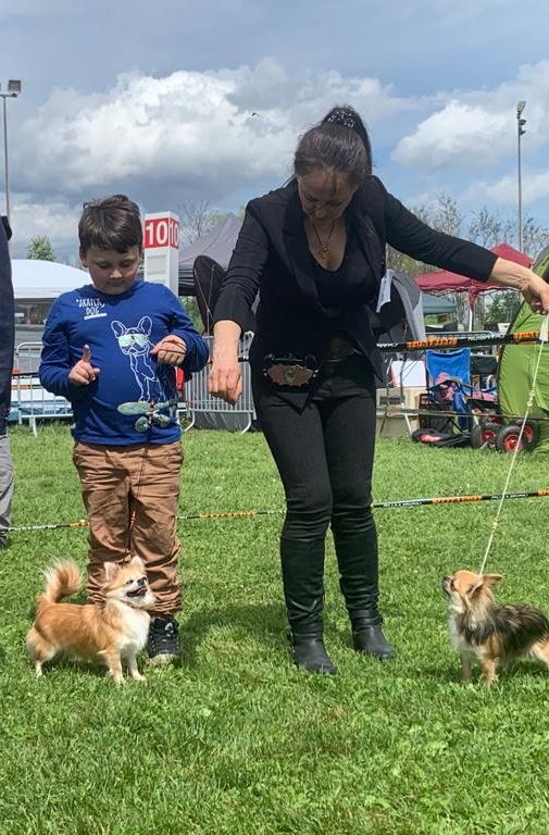 Publication : Des Petites Brindilles Auteur : Des petites brindilles