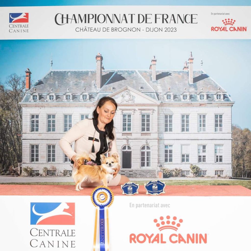 Publication : Des Petites Brindilles Auteur : Des petites brindilles