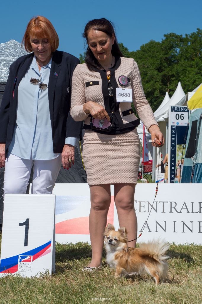 Publication : Des Petites Brindilles Auteur : Des petites brindilles