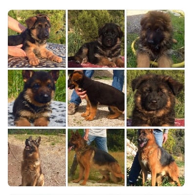 du Domaine de la Roya