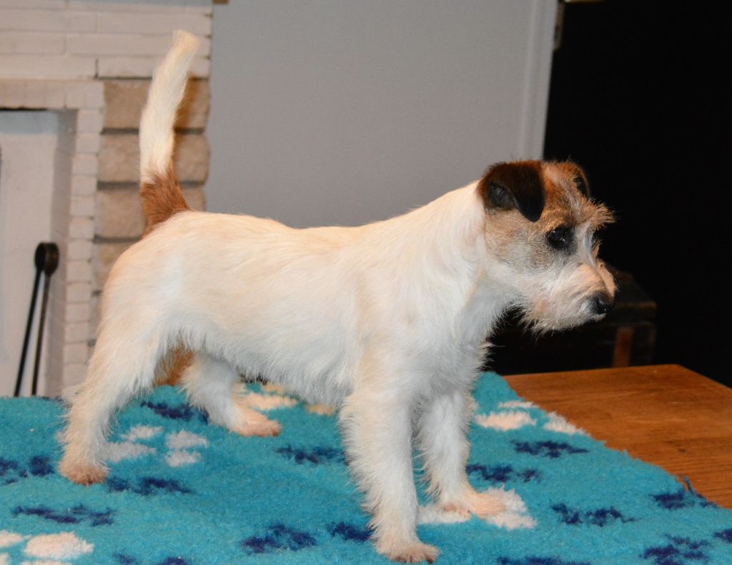 Freeware delle syrenuse - 1er Excellent classe intermédiaire