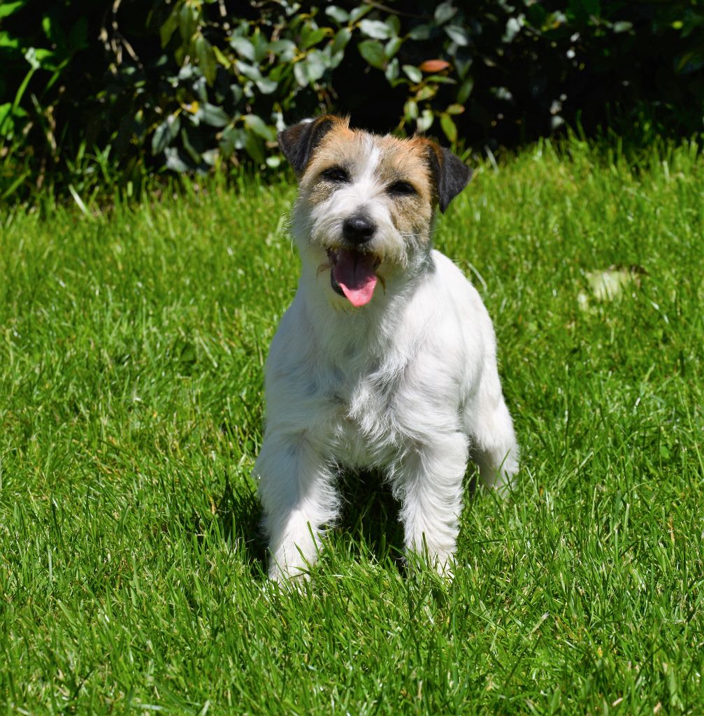 Freeware delle syrenuse - 2ème Excellent Classe Ouverte (15 engagés)