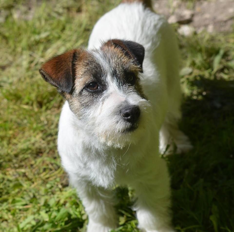 Freeware delle syrenuse - 1er Excellent classe Intermédiaire RCACS