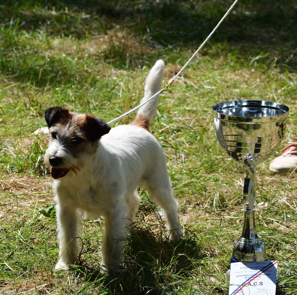 Freeware delle syrenuse - 1er Excellent classe ouverte CACS