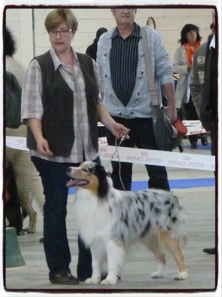 Gooze Mountain Paradise - Ouverte Mâles - Excellent non classé