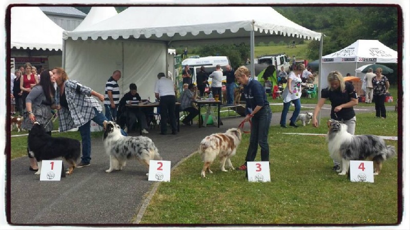 Gooze Mountain Paradise - RCACS - 2ème EXC OUVERTE MALE