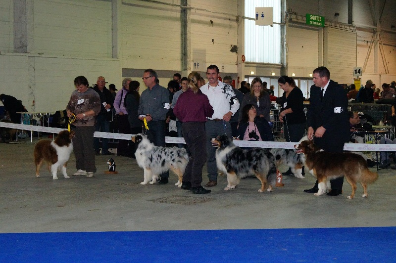 Gooze Mountain Paradise - Ouverte Mâles - Excellent classé 2ème