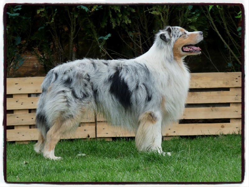 Gooze Mountain Paradise - TB - TB - EXC