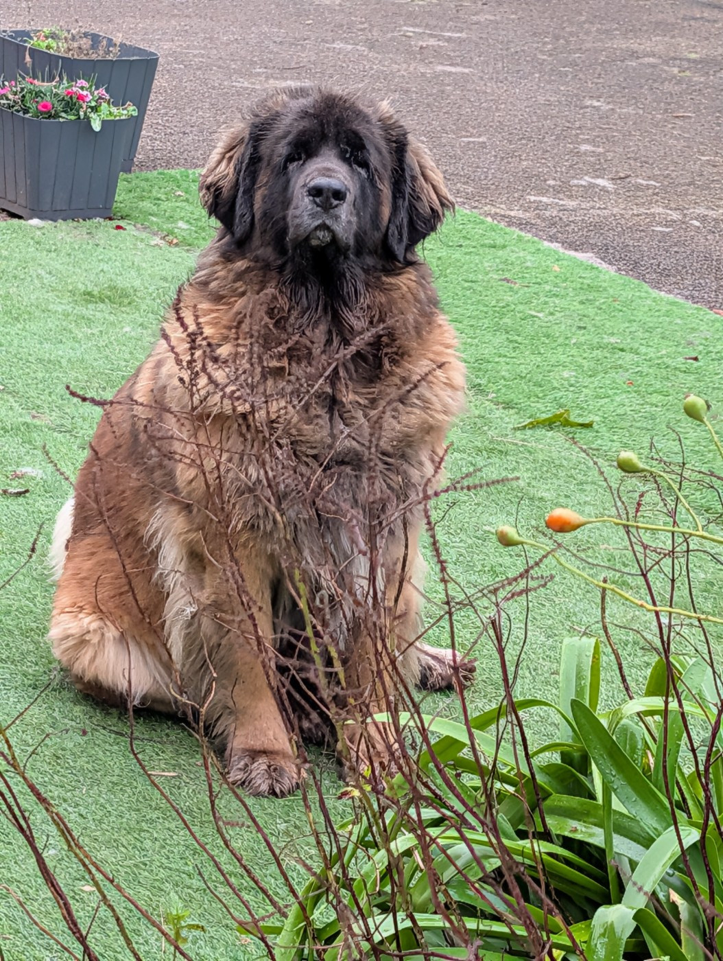 Triskell De Kerfenec