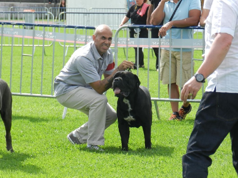 Hisko black pearl du clos d'Attila - 2ème EXCELLENT OUVERTE-RCACS