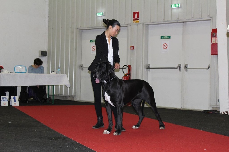 Ilita Des Mille Et Une Merveille - 1°EXC CACS