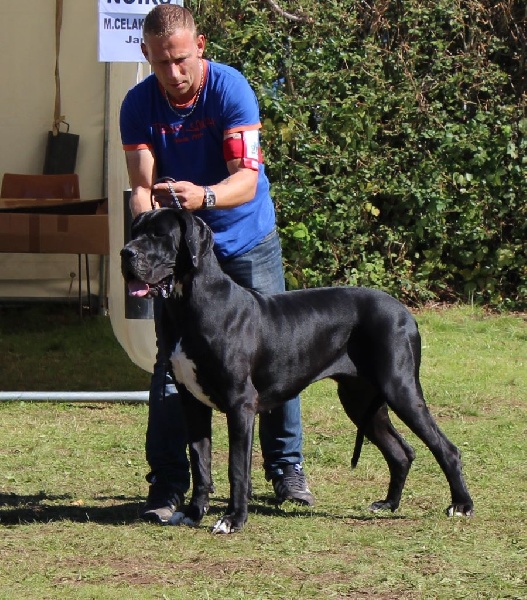 Ilita Des Mille Et Une Merveille - EXC N.C.