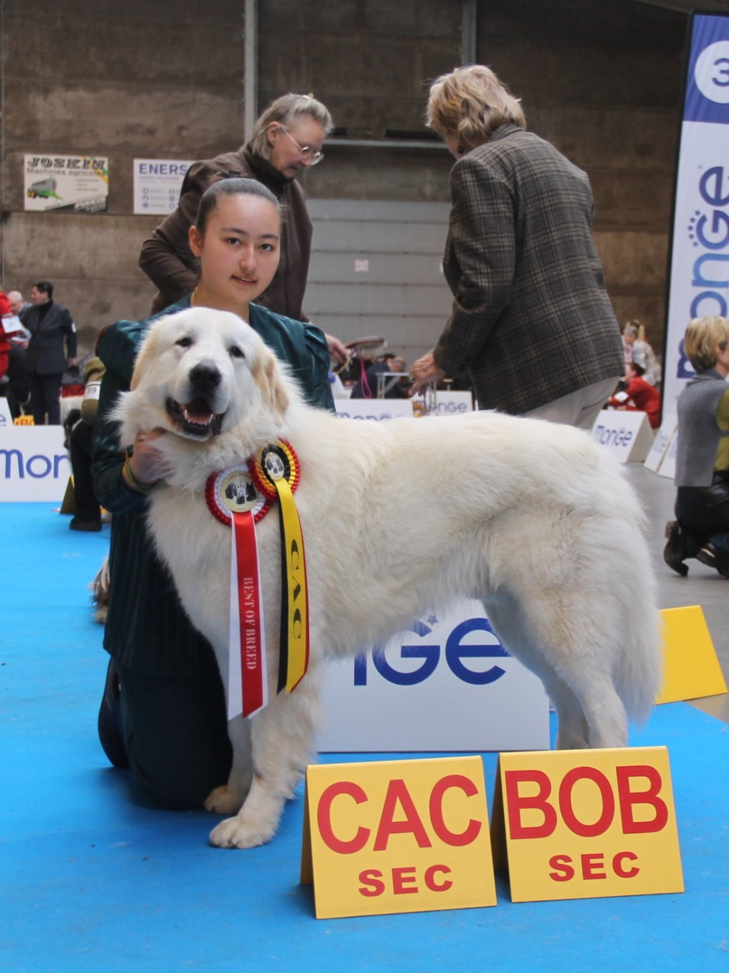 CH. U'cesar du val de montserrat