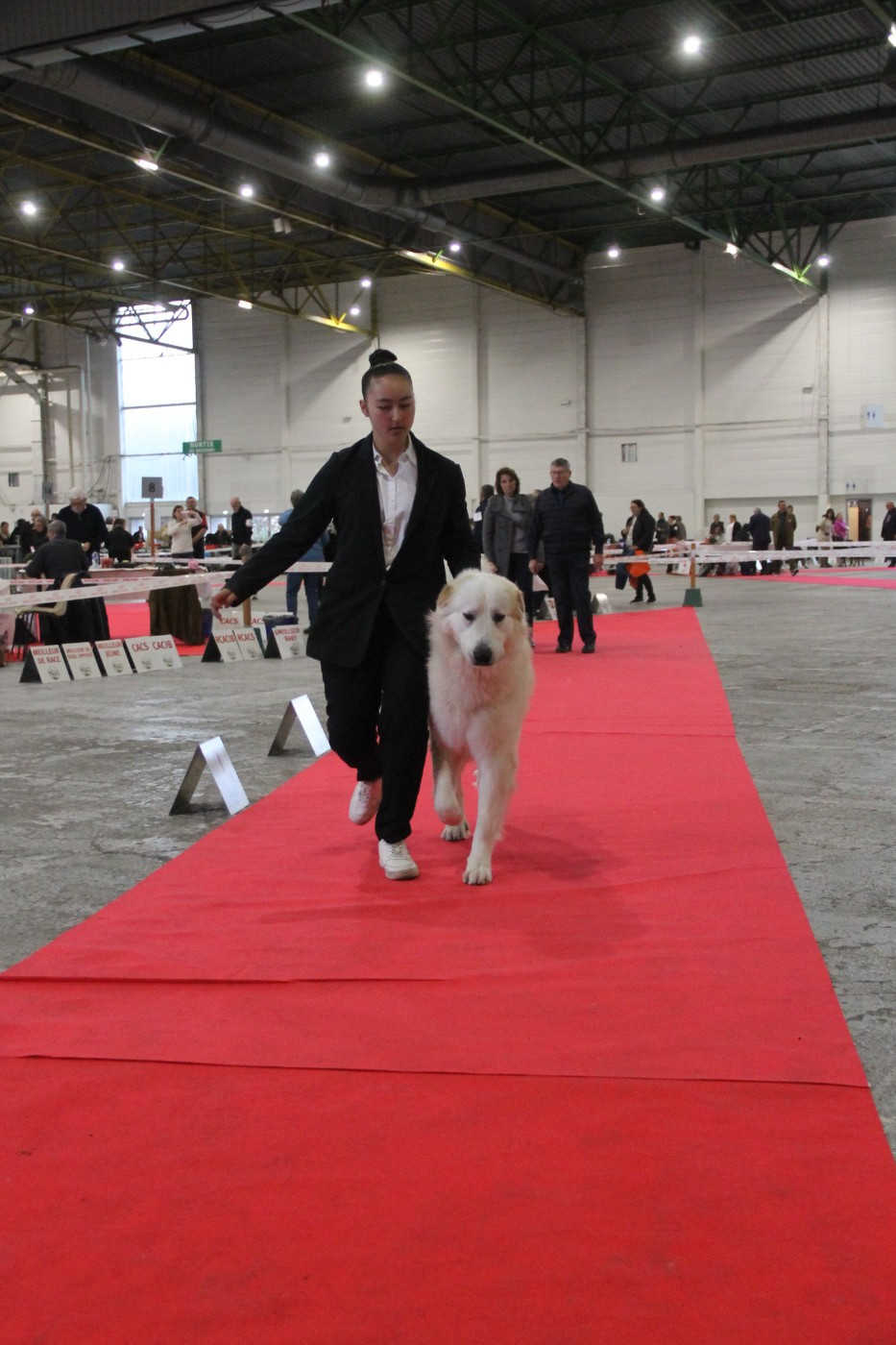 CH. U'cesar du val de montserrat