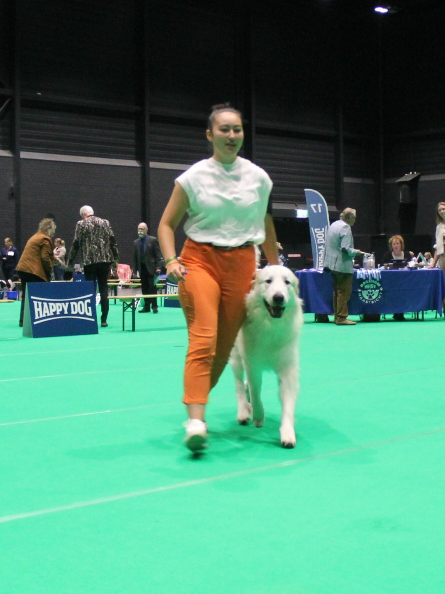 CH. U'cesar du val de montserrat