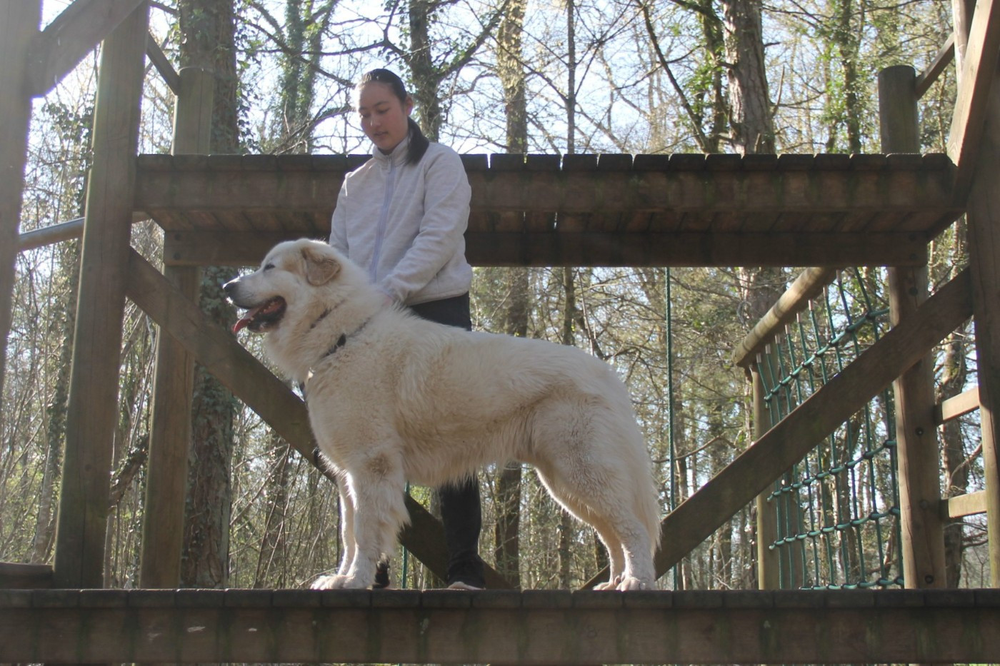 CH. U'cesar du val de montserrat