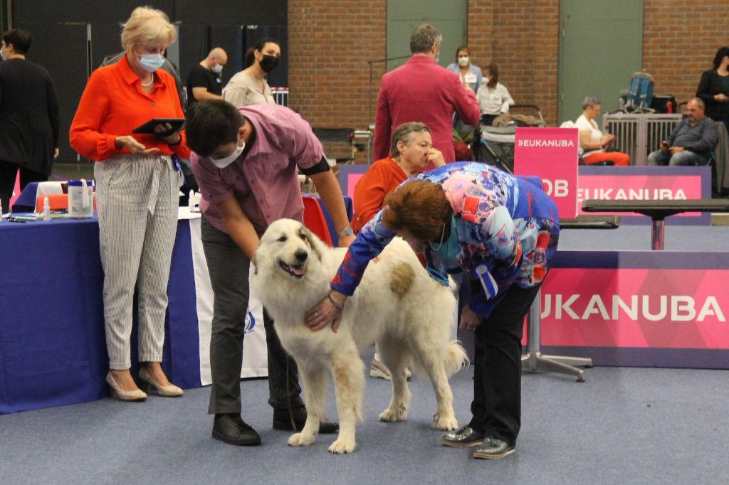 Shayna De Plaine Sapin - 2ème place TRES BON