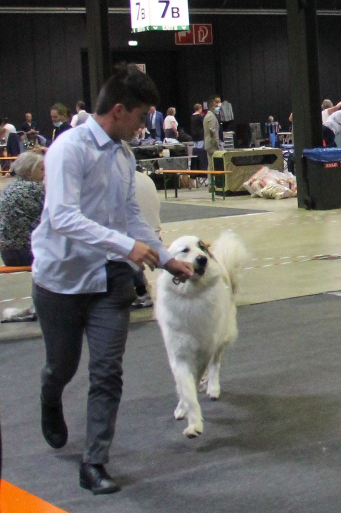 Shayna De Plaine Sapin - 1ère place, EXCELLENT, CACL