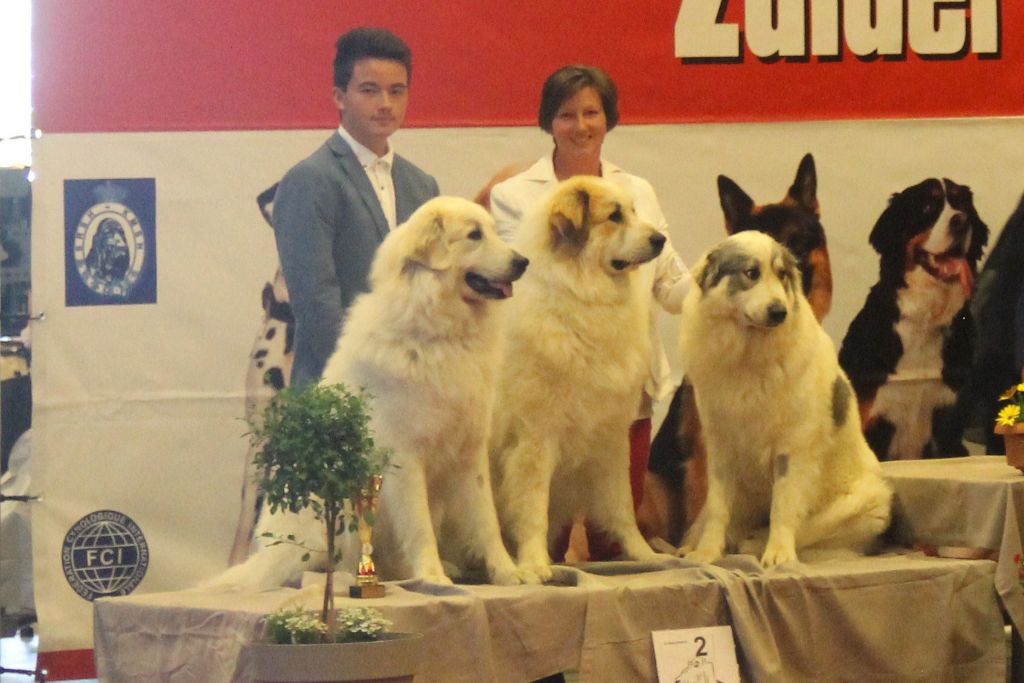 CH. Rebel du Rocher De La Vierge - 1ère place EXCELLENT, Meilleure Jeune, CAC, BOB (meilleur de race).