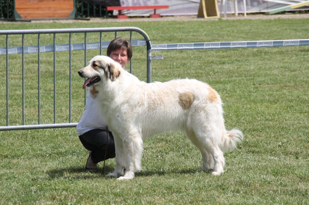 Shayna De Plaine Sapin - 1ère place, EXCELLENT