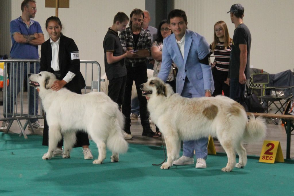 Shayna De Plaine Sapin - 2ème place, EXCELLENT, RCAC, RCACIB