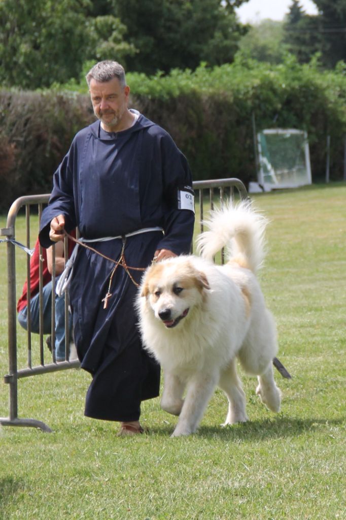 CH. Rebel du Rocher De La Vierge - 2ème place EXCELLENT