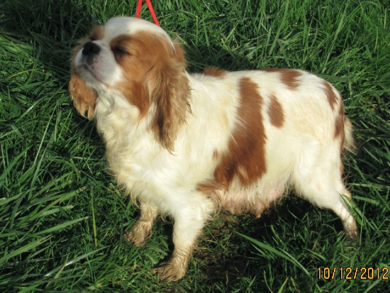 Publication : du bois de menetou