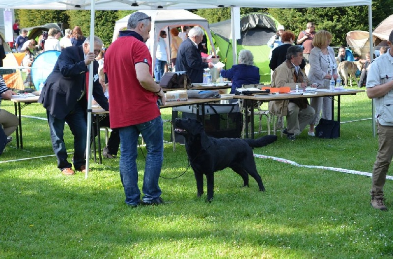Publication : Off newfoundland coast Auteur : Isabelle