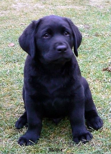 Publication : Off newfoundland coast Auteur : Isabelle