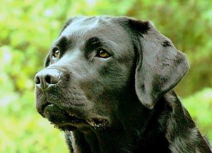 Publication : Off newfoundland coast Auteur : Isabelle