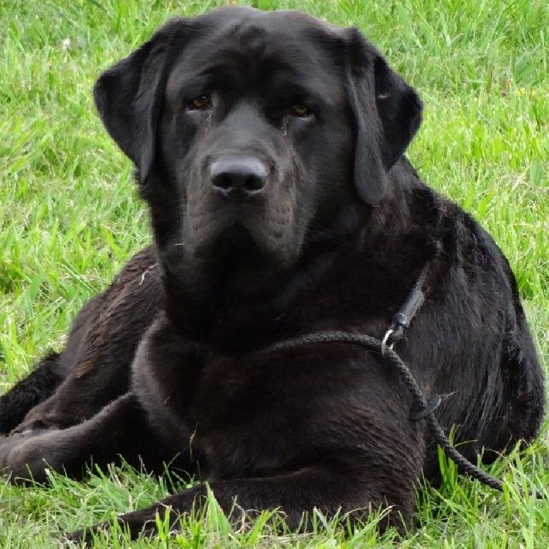 Publication : Off newfoundland coast Auteur : Isabelle