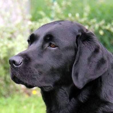 Publication : Off newfoundland coast Auteur : Isabelle