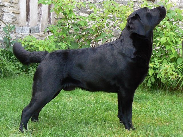 Publication : Off newfoundland coast Auteur : Isabelle