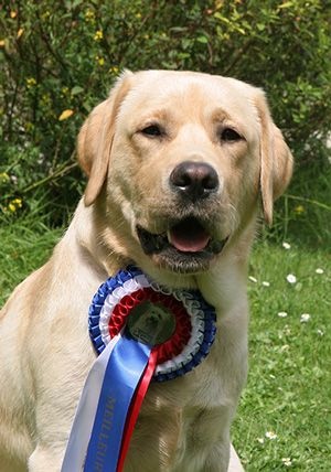 Goodness De L'Etang Balancet - MEILLEUR JEUNE