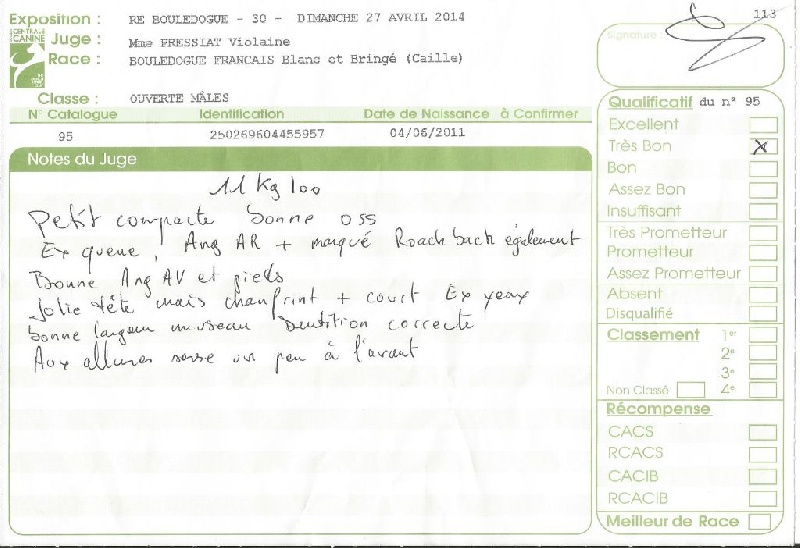 Gibson du clos stéfanel - Très Bon