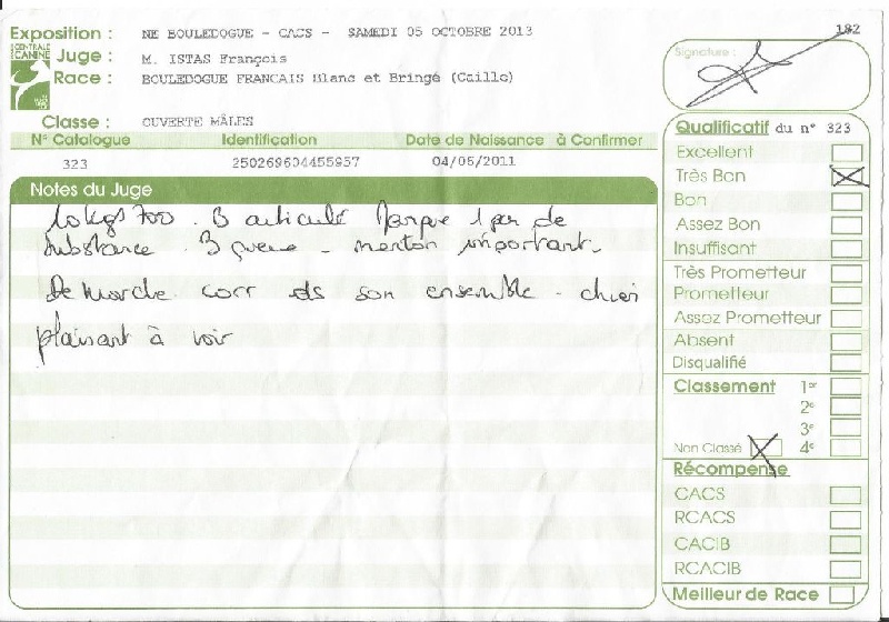 Gibson du clos stéfanel - Très Bon